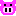 ブタ