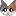 ミケ