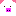 ブタ！？