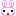 うさぎ