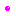 りぼん