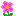 お花