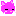 ピンク猫