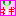 ネギ　しんぢ