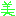 美