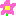 お花　ピンク