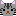 ネコ