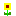 ひまわり
