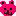 クマ