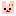 うさぎ
