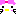 ＊