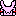 うさぎ　うきうき