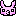 うさぎ　ぷー
