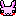うさぎ　ミニ
