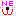ワンnew