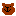 kuma