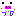 ブタ
