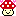 のこのこきのこ