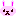 うさぎ