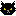 黒猫