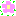 ✿はな
