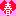 春