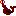 アシカ