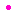 てん