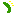 キュウリ