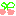 さくらんぼ