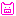 豚