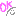 かお