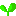 はっぱ