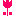 チューリップ