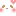 顔