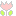 ちゅーりっぷ