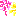 はなび
