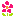 bloem