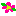 さくら