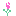 ばら