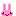 うさぎ