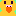 インコ