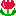 チューリップ