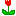 bara