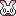 うさぎ