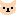 チワワ