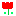 チュウリップ