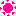 朝