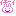 ウサギ　