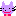ねこ